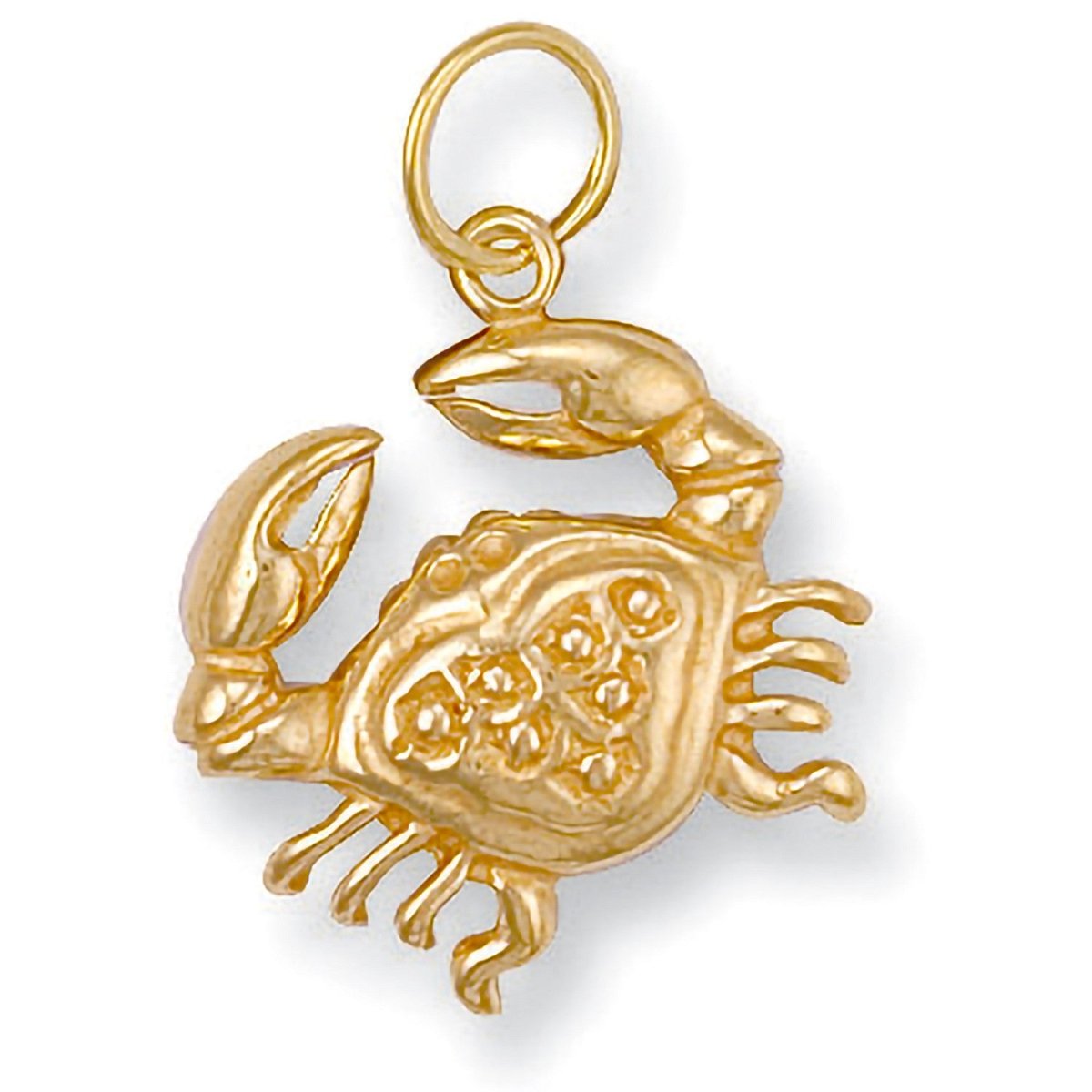 9ct Yellow Gold Cancer Zodiac Pendant - Timeless Elegance - Samuel Perry