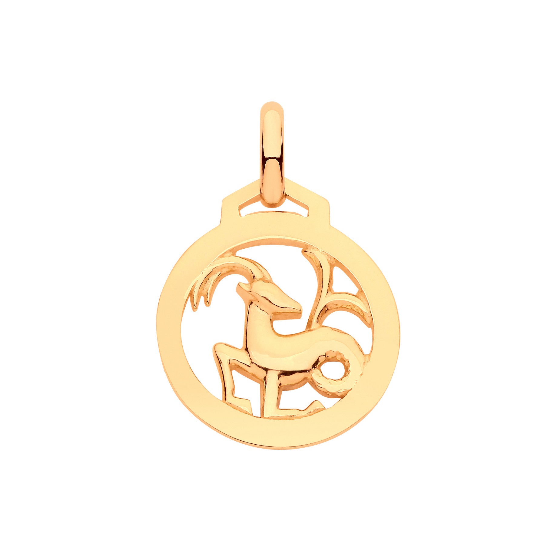 9ct Yellow Gold Capricorn Zodiac Pendant – Round Design