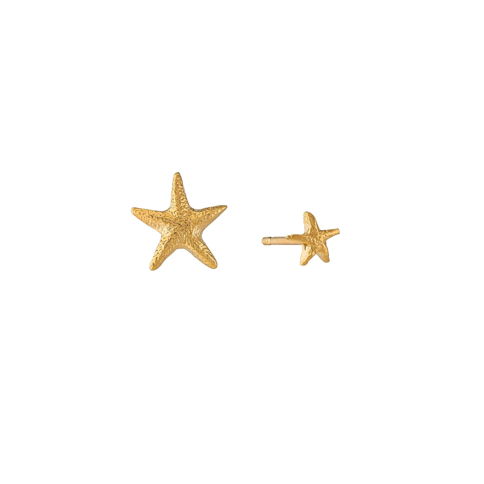 Asymmetric Starfish Stud Earrings - Samuel Perry