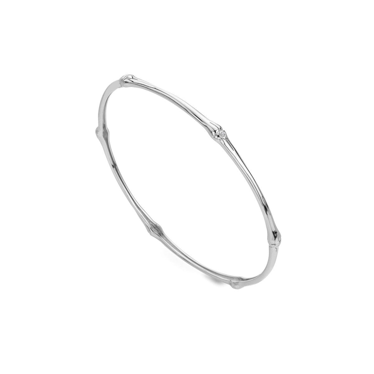 HD X TG Bamboo Bangle - Samuel Perry
