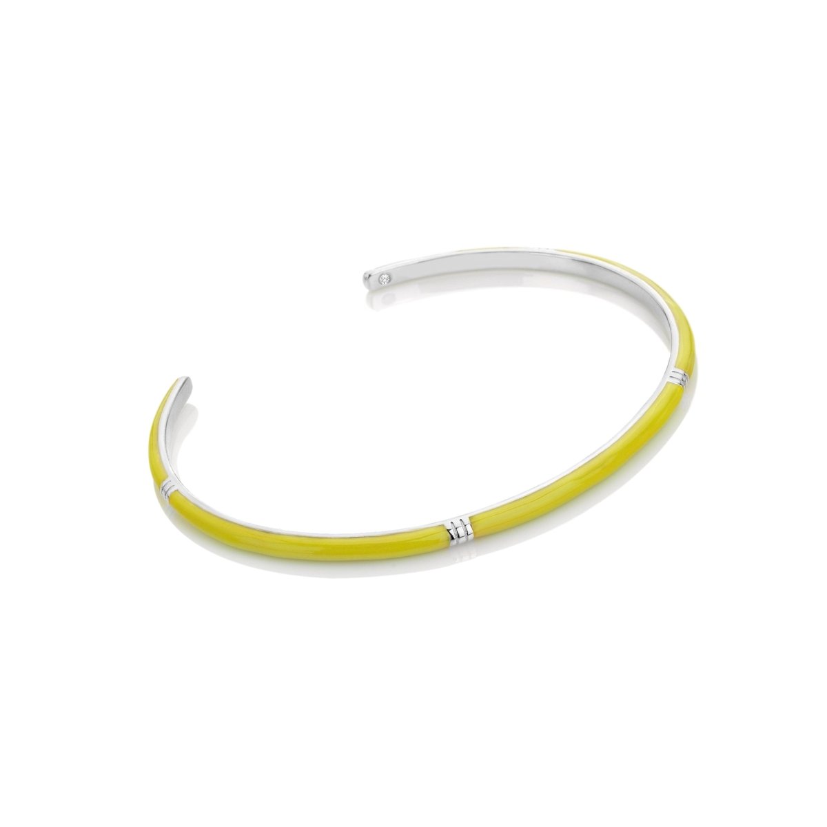HD X TG Enamel Bangle - Neon - Samuel Perry