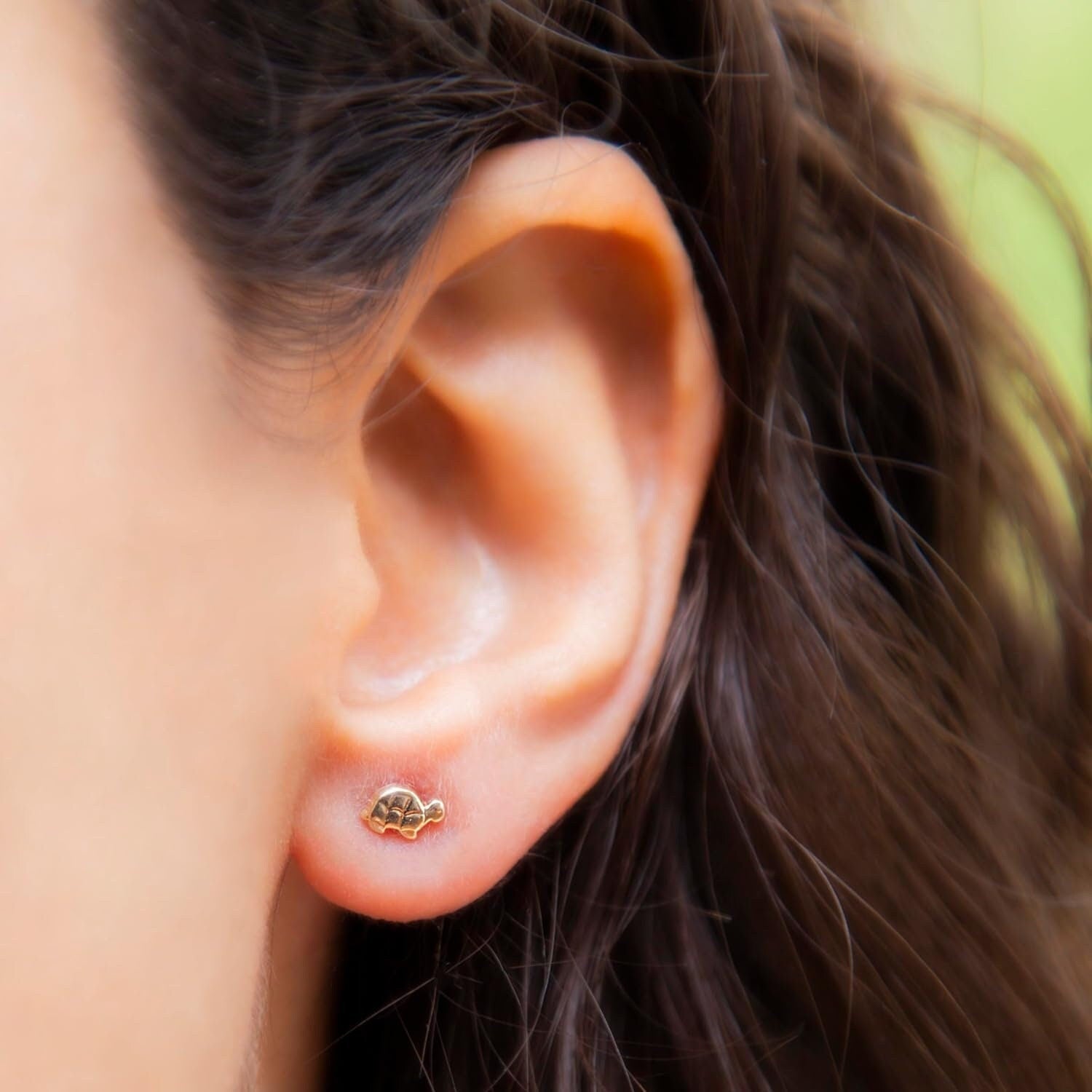 9ct Gold Tortoise Earrings - 5mm Animal Studs - Perfect for Everyday Wear - Samuel Perry