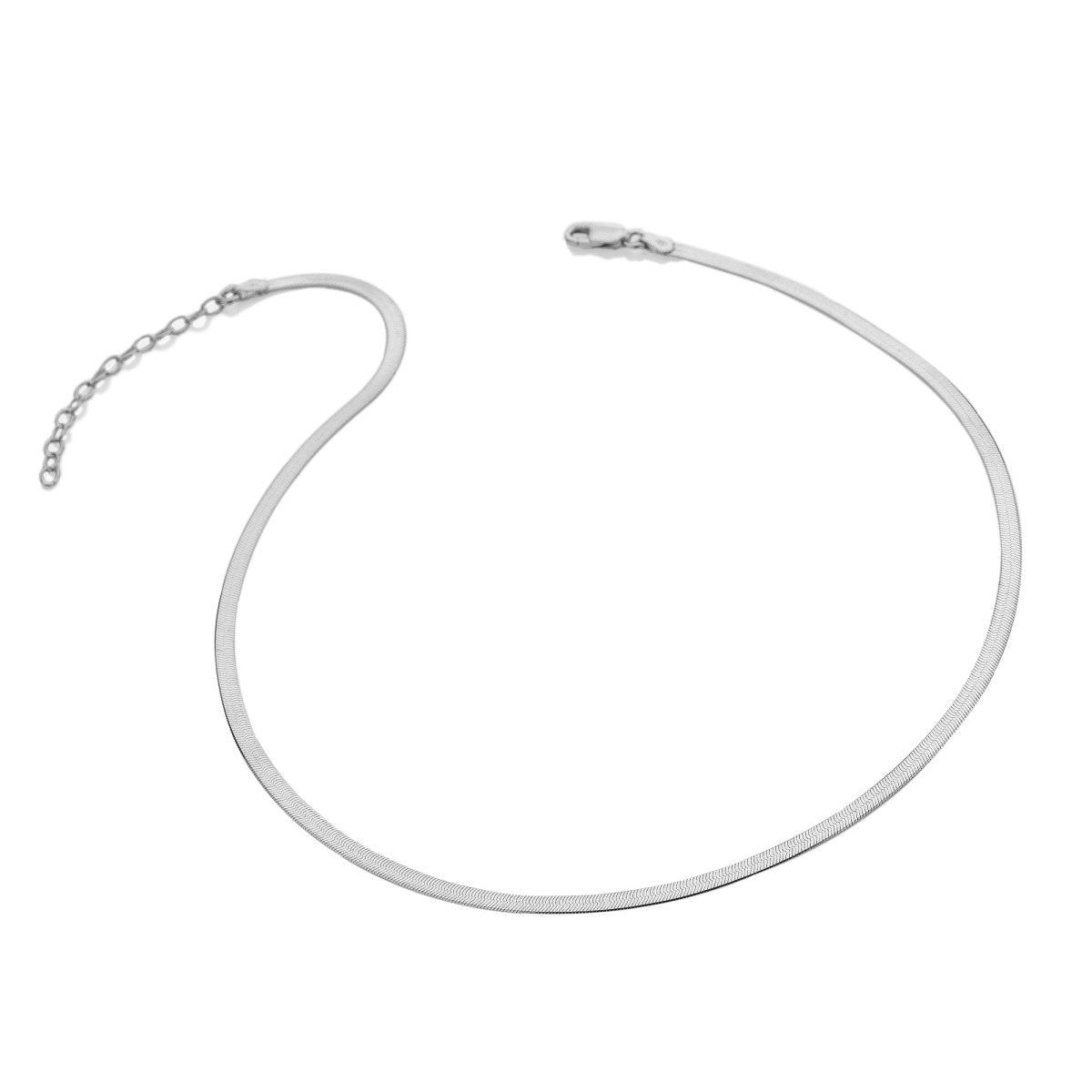 Snake Chain - Samuel Perry